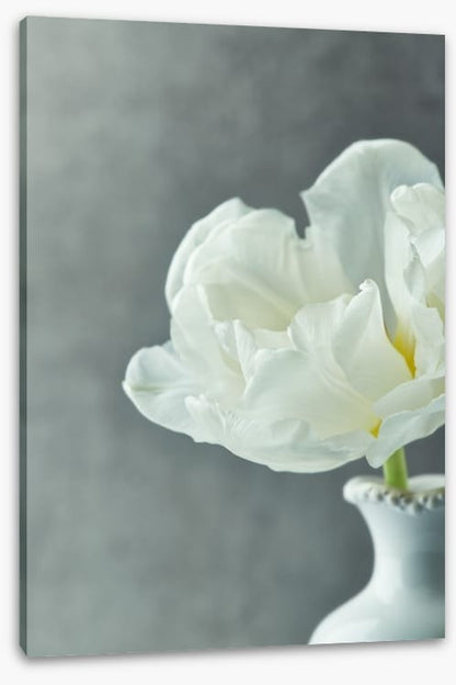 Fragile simplicity