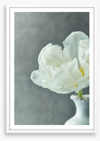 Fragile simplicity