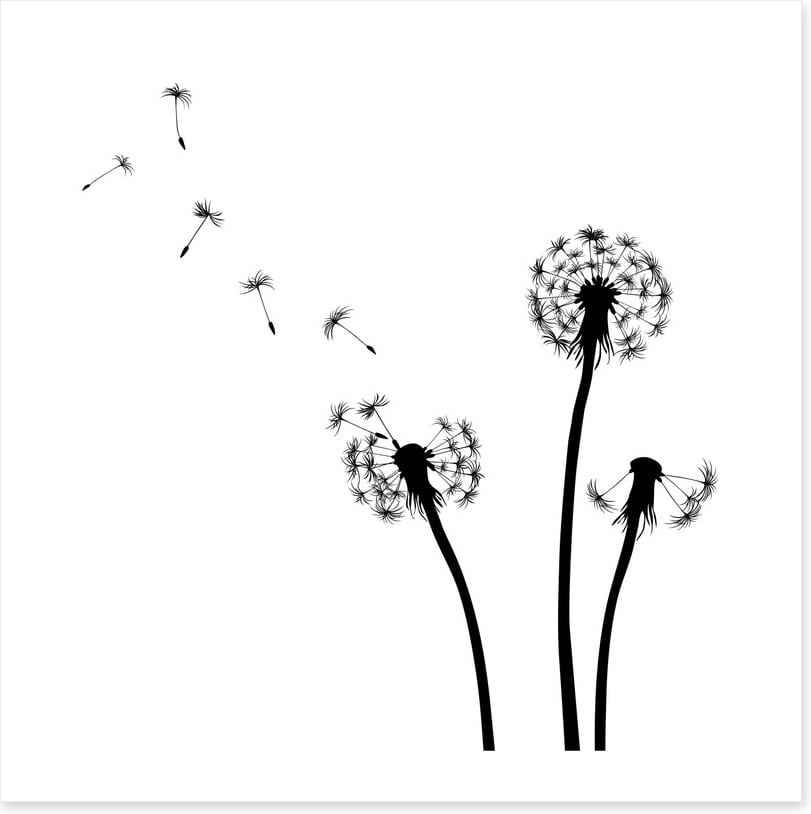 Dandelion wishes