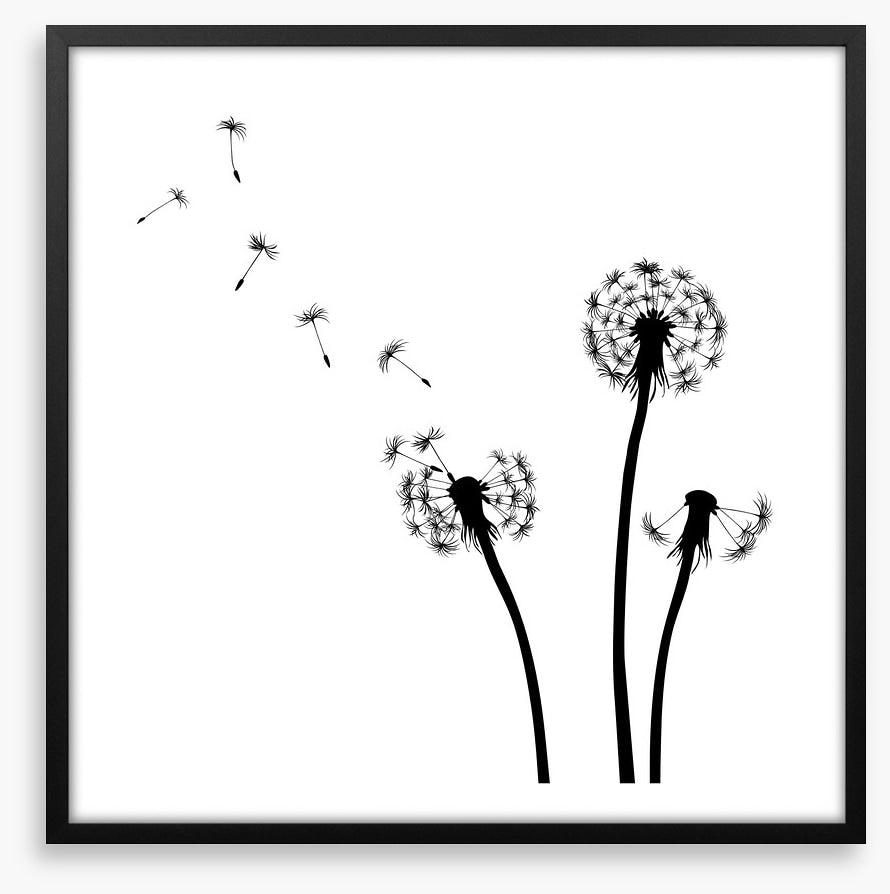 Dandelion wishes
