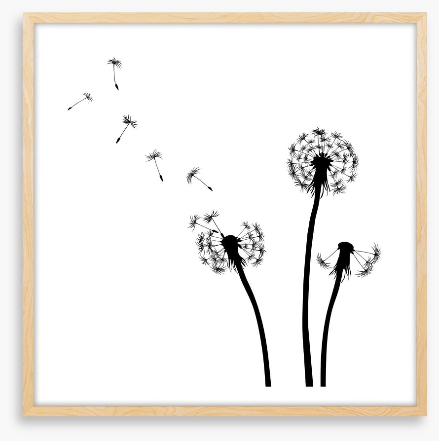 Dandelion wishes