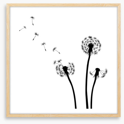 Dandelion wishes
