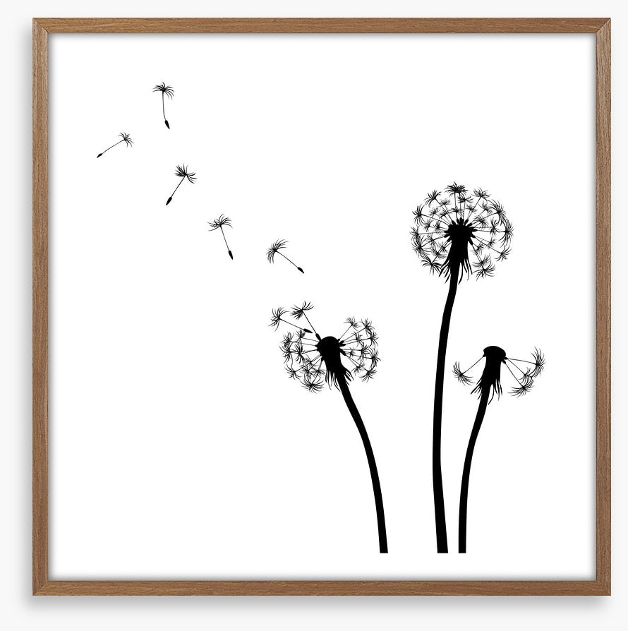 Dandelion wishes