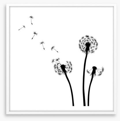Dandelion wishes