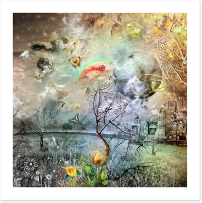 Wonderland of the golden tulip