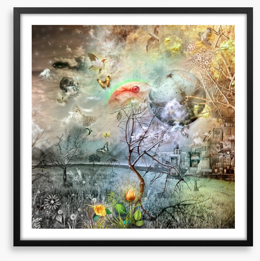 Wonderland of the golden tulip