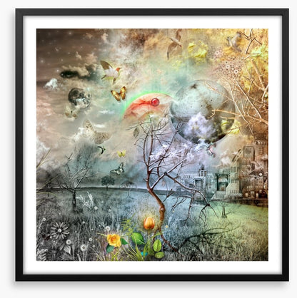 Wonderland of the golden tulip