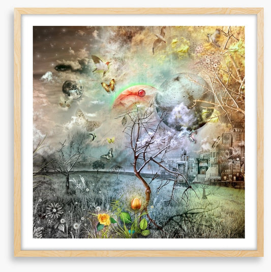 Wonderland of the golden tulip