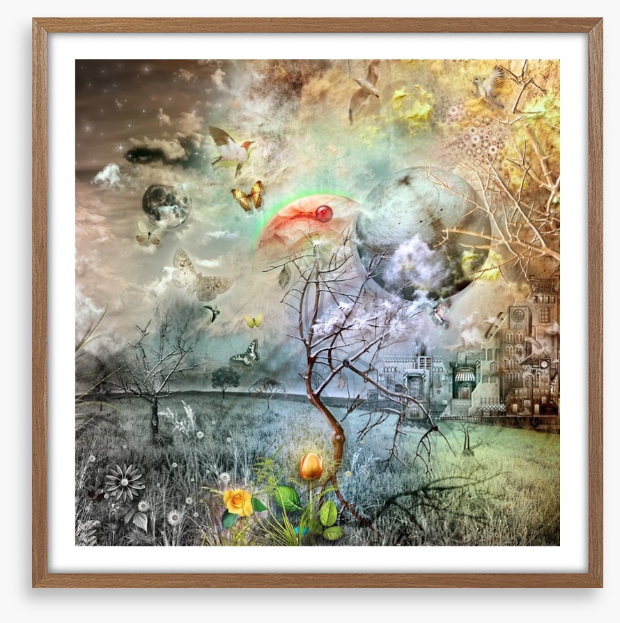 Wonderland of the golden tulip