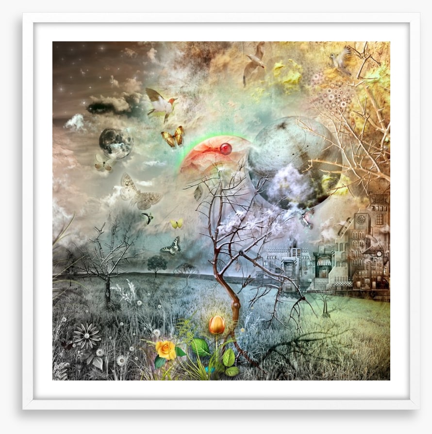 Wonderland of the golden tulip