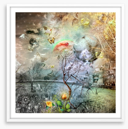 Wonderland of the golden tulip