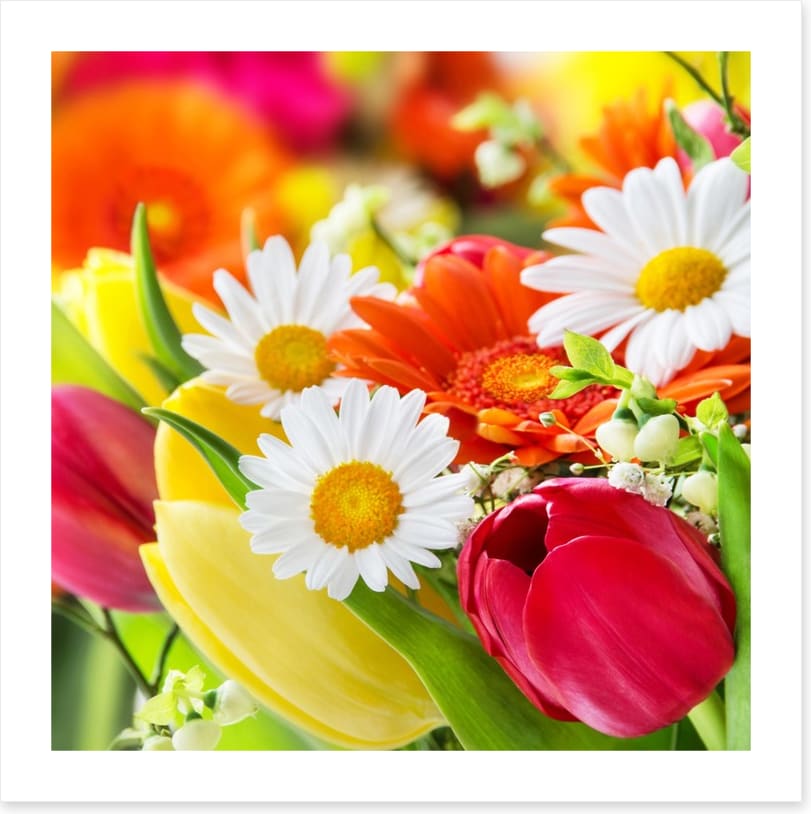Gerbera and tulips