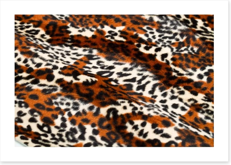 Animal Print