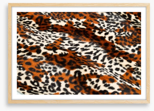 Animal Print