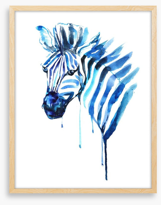 Blue zebra