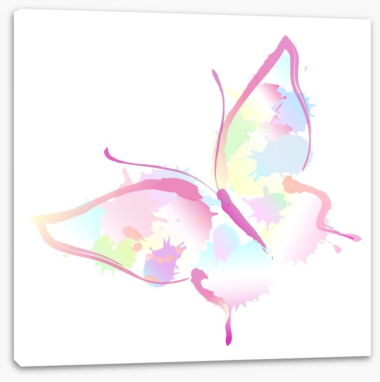 Butterfly splash