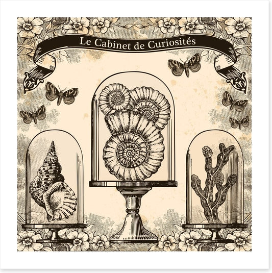 Cabinet de curiosites