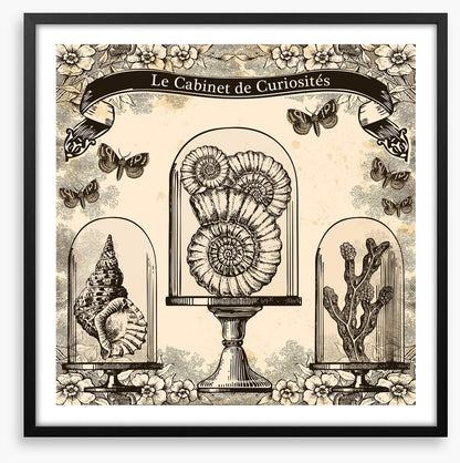 Cabinet de curiosites
