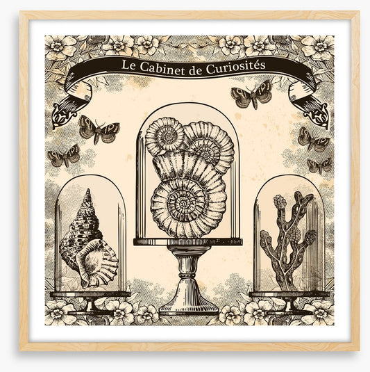 Cabinet de curiosites