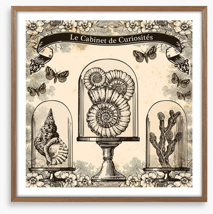 Cabinet de curiosites