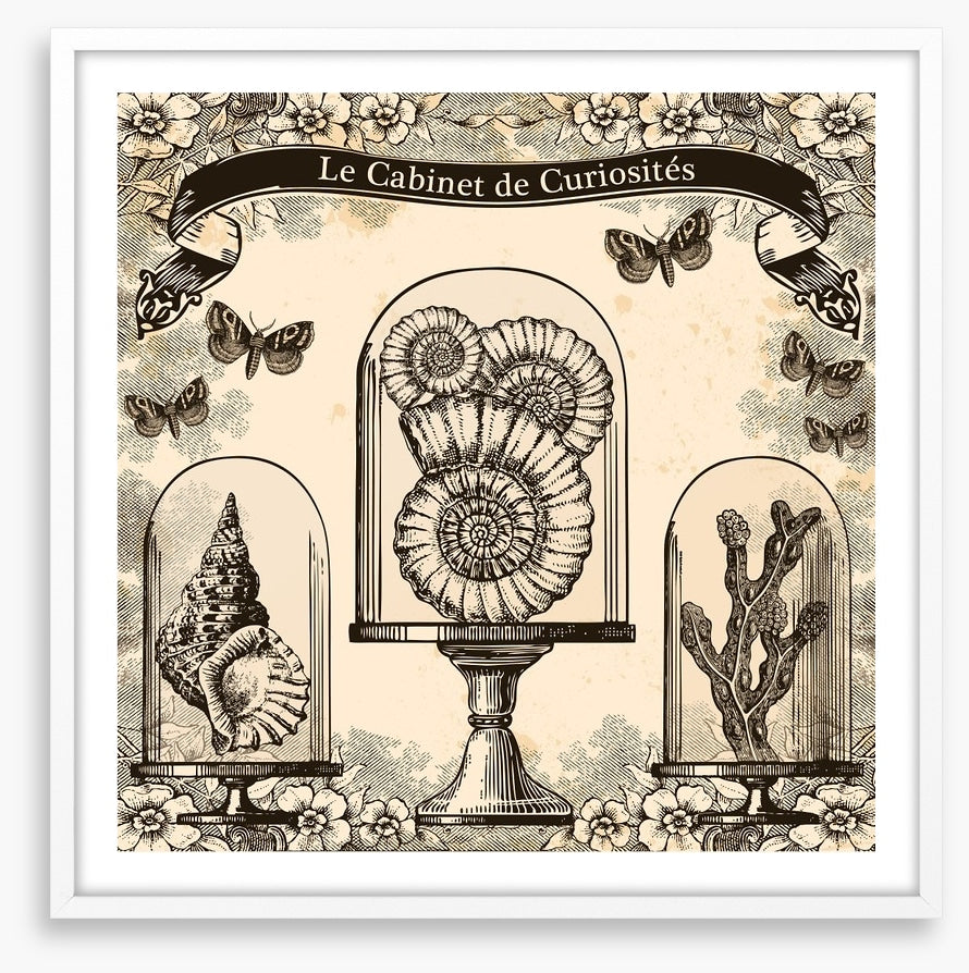 Cabinet de curiosites
