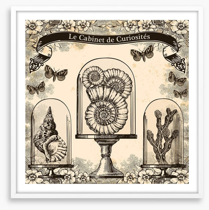 Cabinet de curiosites