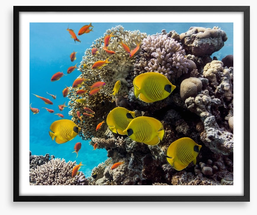 Underwater