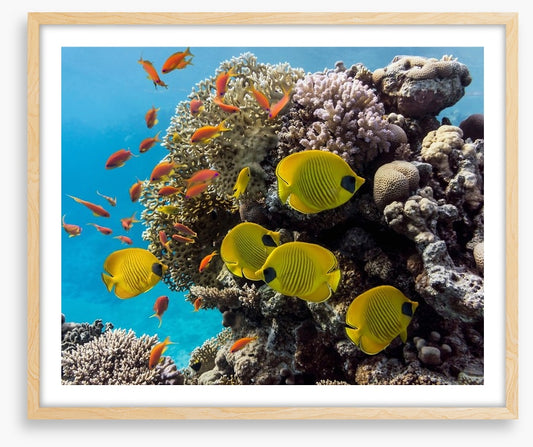 Underwater