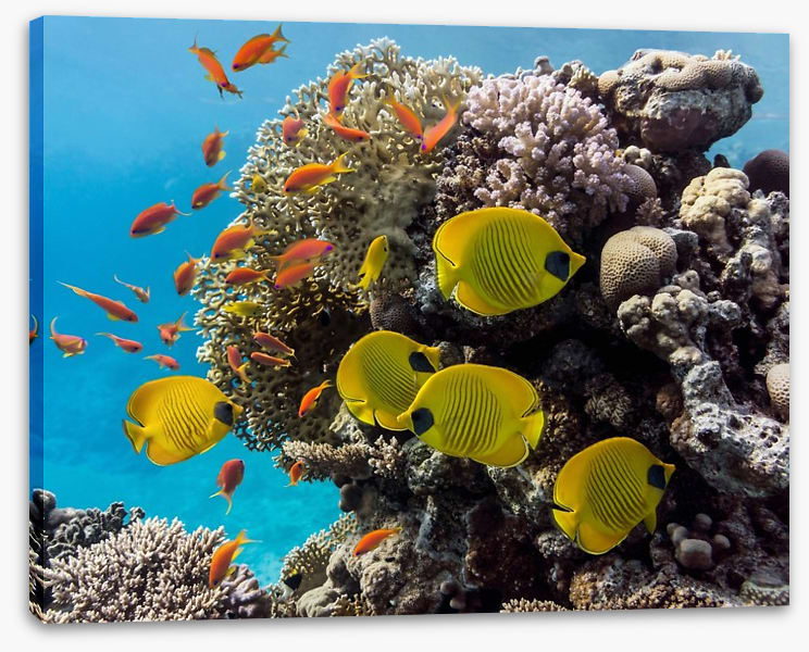 Underwater