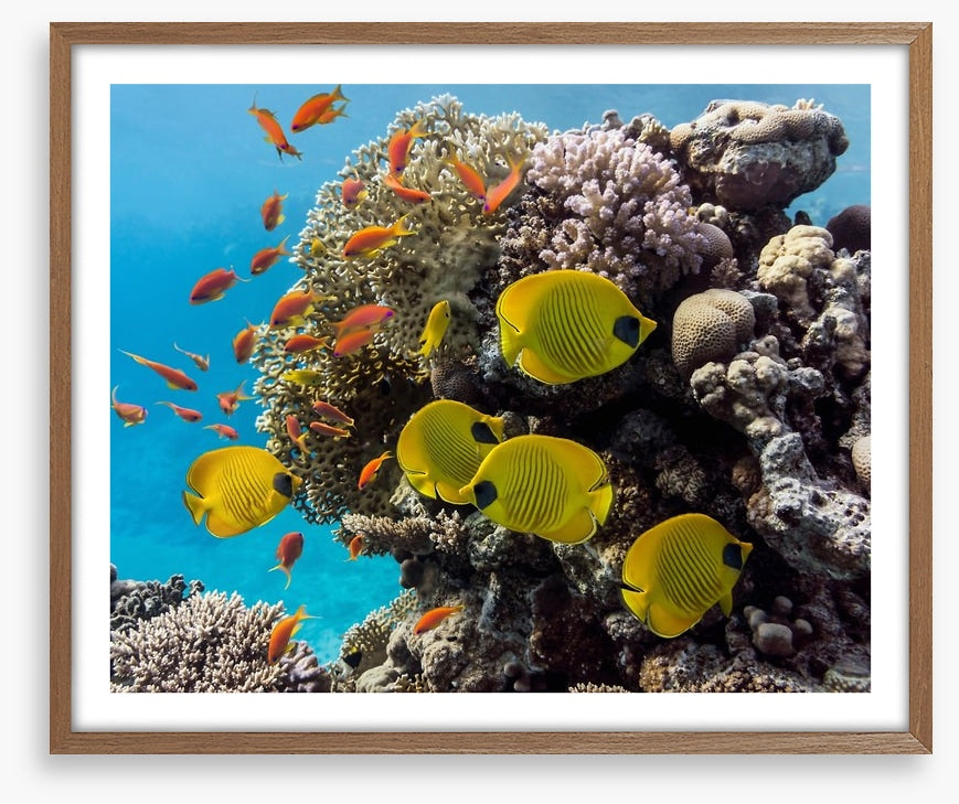Underwater