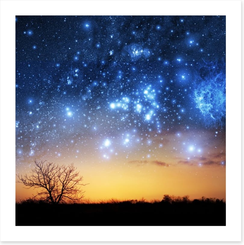 The night sky tree