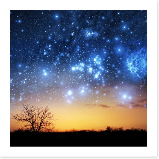 The night sky tree