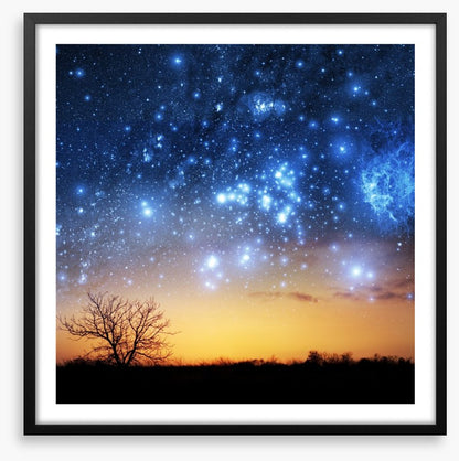 The night sky tree