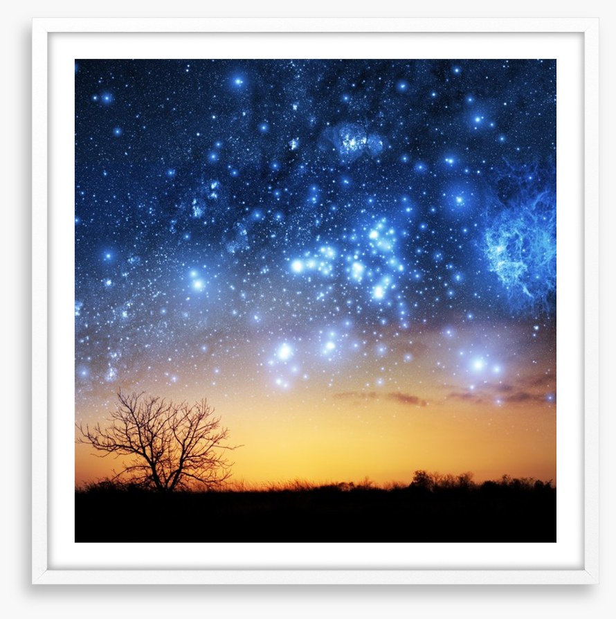 The night sky tree