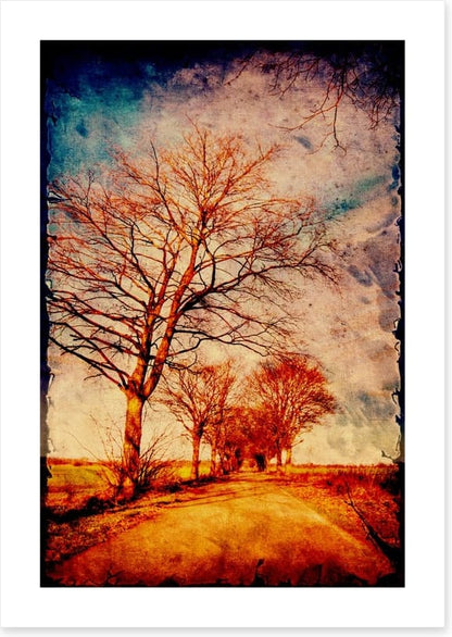 Take me home