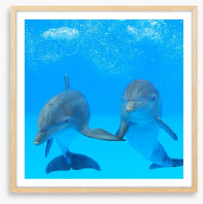 Flipper friends