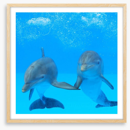 Flipper friends