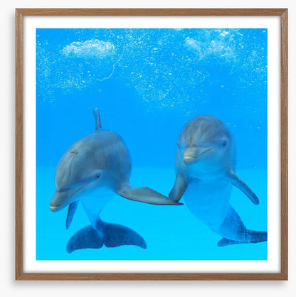 Flipper friends