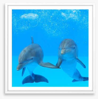 Flipper friends