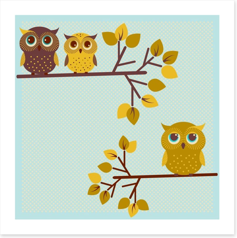 Owls