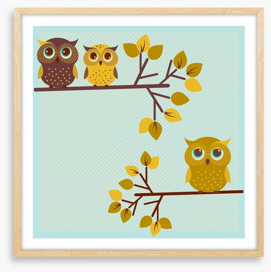 Owls