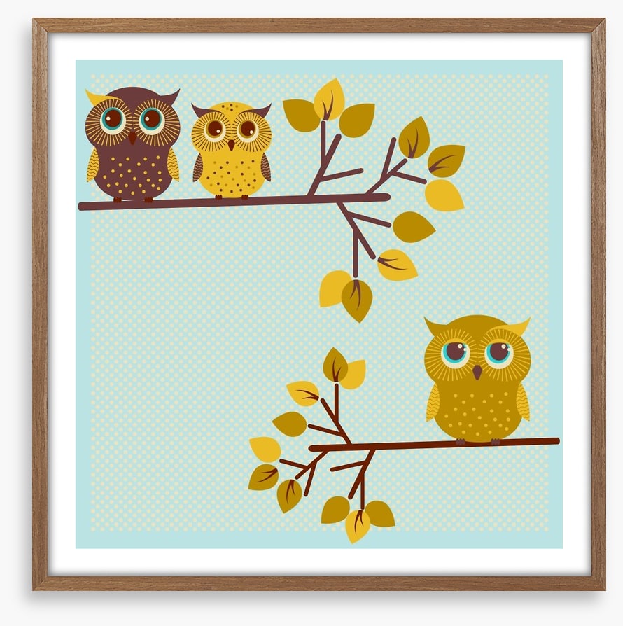 Owls