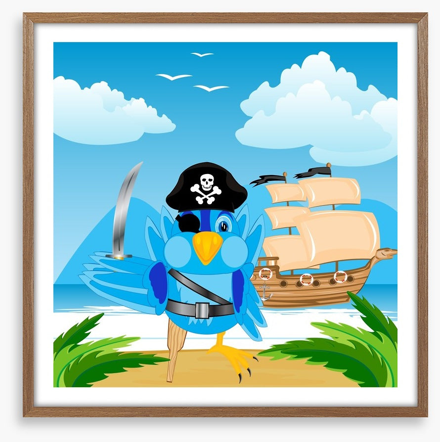 Pirates