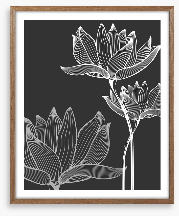 Lotus on black