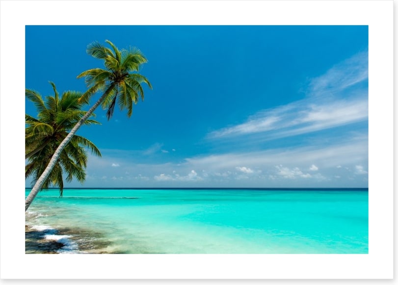 Paradise lagoon