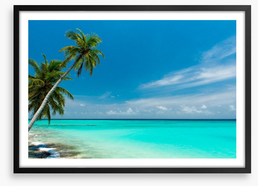Paradise lagoon