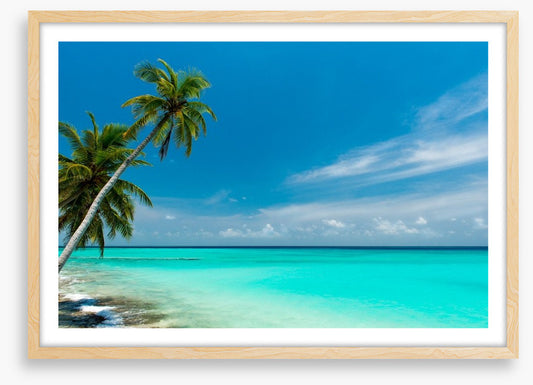 Paradise lagoon
