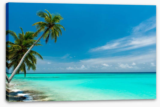 Paradise lagoon