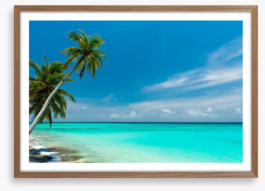 Paradise lagoon