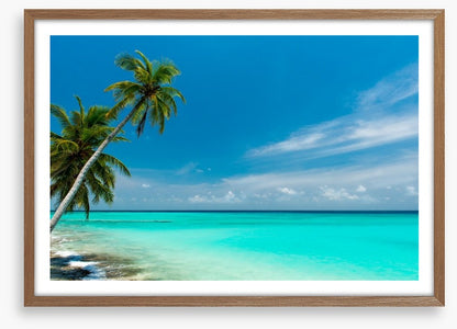 Paradise lagoon
